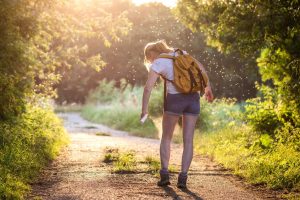 ongedierte bestrijden in de zomer