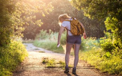 Hulp bij ongedierte bestrijden in de zomer