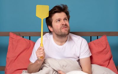 Vliegen in je huis, daar wil je zo snel mogelijk van af!